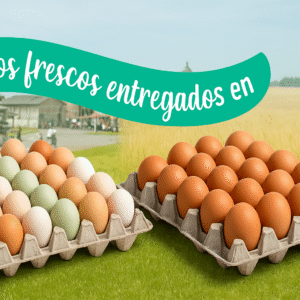Huevos de Primera