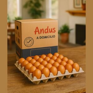 Caja de Huevos Super 100 Uds.